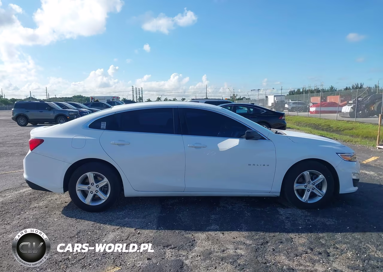 2019 Chevrolet Malibu 1Fl VIN:1G1ZC5ST5KF201680 - 14