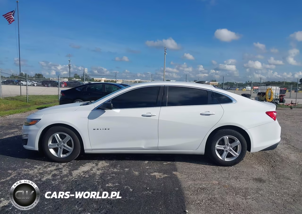 2019 Chevrolet Malibu 1Fl VIN:1G1ZC5ST5KF201680 - 15