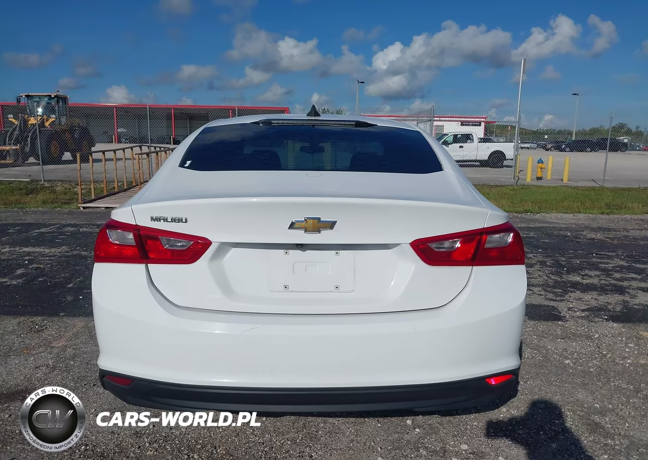 2019 Chevrolet Malibu 1Fl VIN:1G1ZC5ST5KF201680 - 17