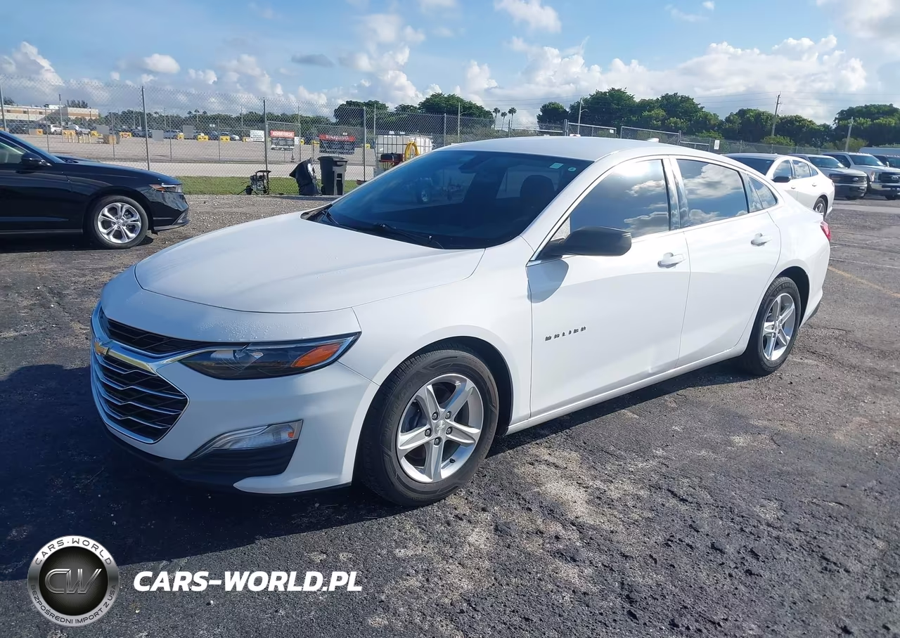 2019 Chevrolet Malibu 1Fl VIN:1G1ZC5ST5KF201680 - 2