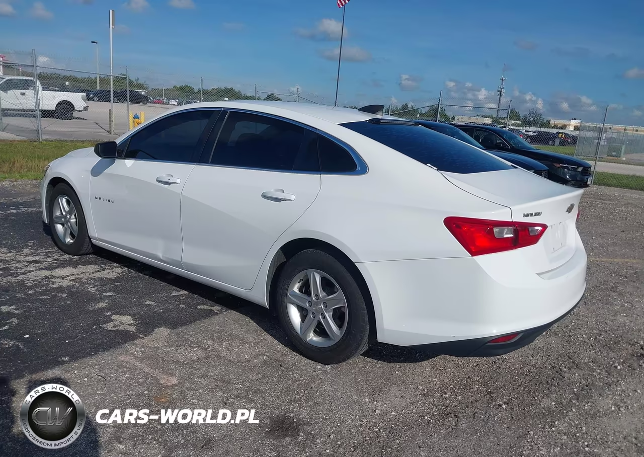 2019 Chevrolet Malibu 1Fl VIN:1G1ZC5ST5KF201680 - 3
