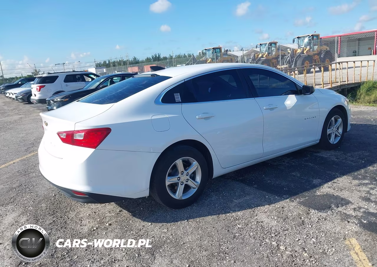 2019 Chevrolet Malibu 1Fl VIN:1G1ZC5ST5KF201680 - 4