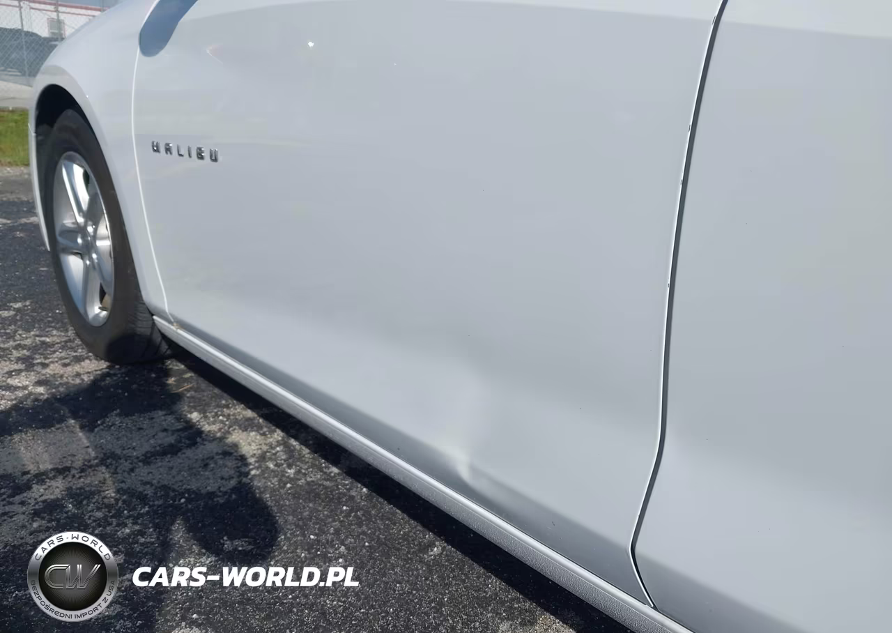 2019 Chevrolet Malibu 1Fl VIN:1G1ZC5ST5KF201680 - 6