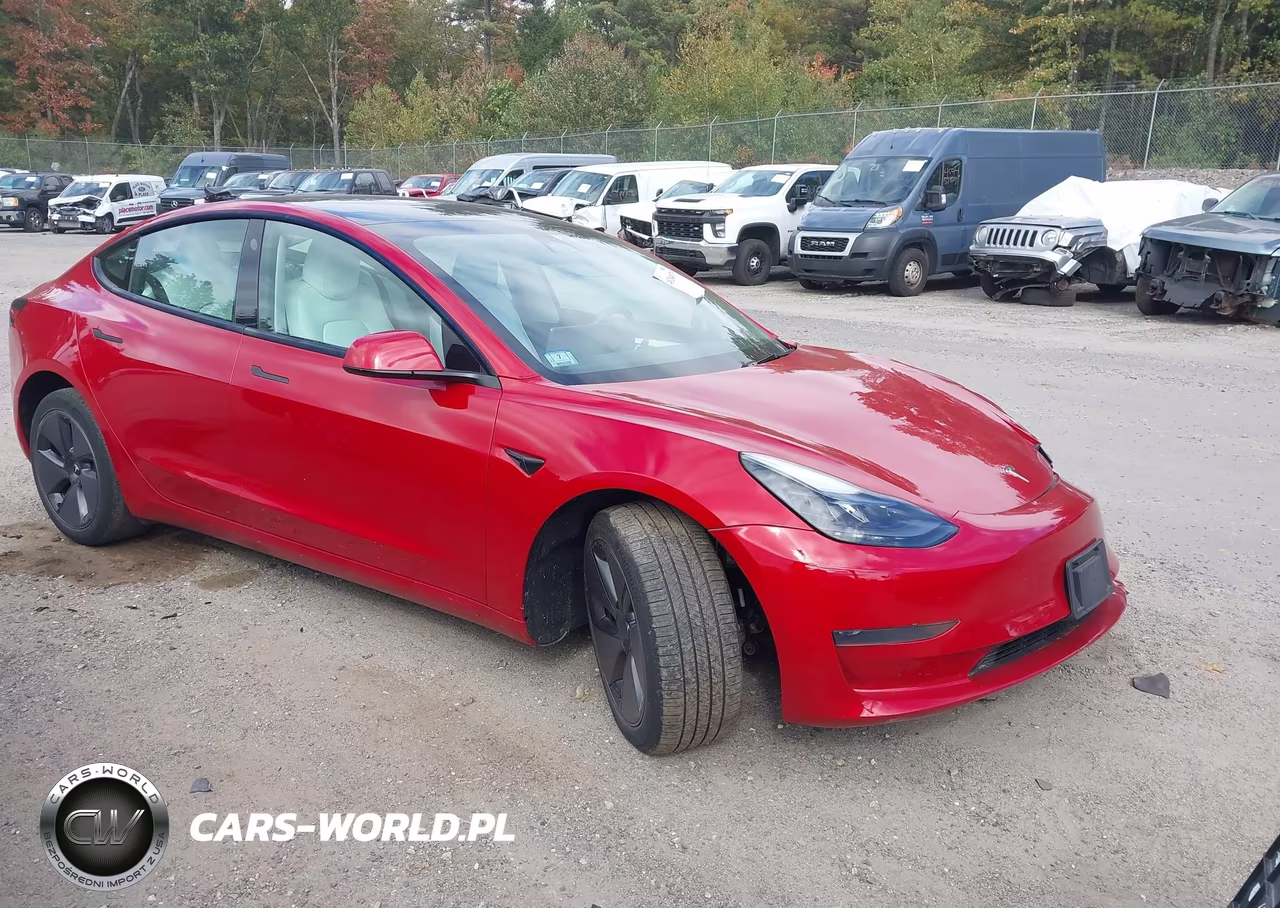 2023 Tesla Model 3 Rear-Wheel Drive