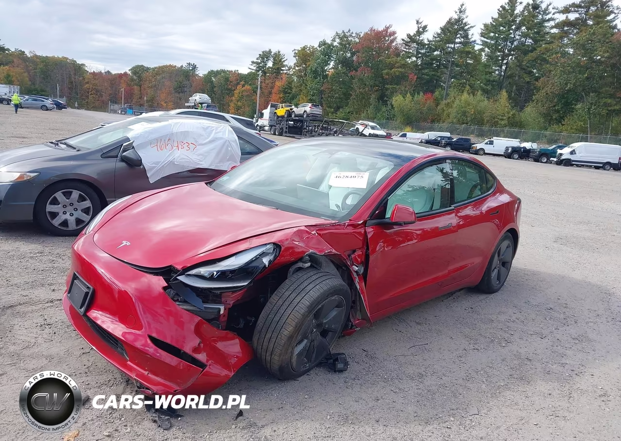 2023 Tesla Model 3 Rear-Wheel Drive VIN:5YJ3E1EA5PF614219 - 2