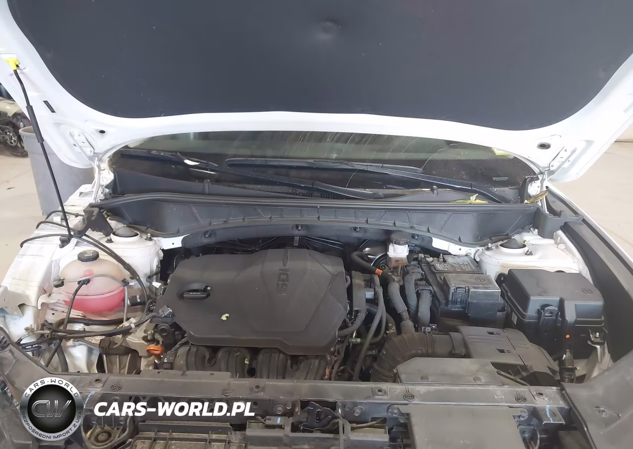 2024 Hyundai Tucson Sel VIN:5NMJBCDE3RH328449 - 10