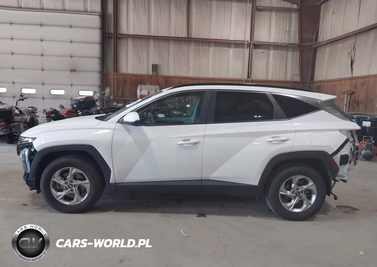 2024 Hyundai Tucson Sel VIN:5NMJBCDE3RH328449 - 15