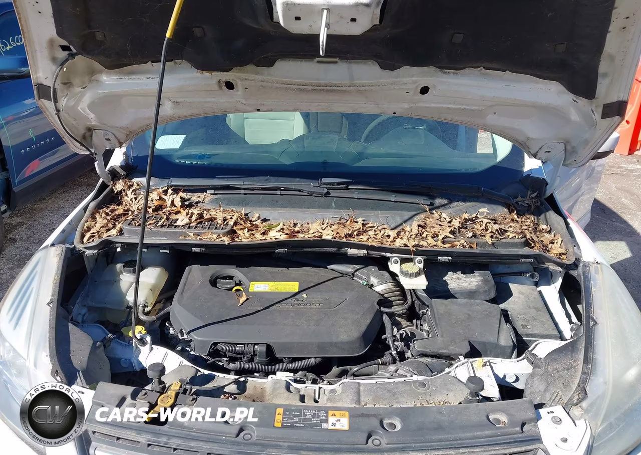 2014 Ford Escape Se VIN:1FMCU9GX3EUD16996 - 10