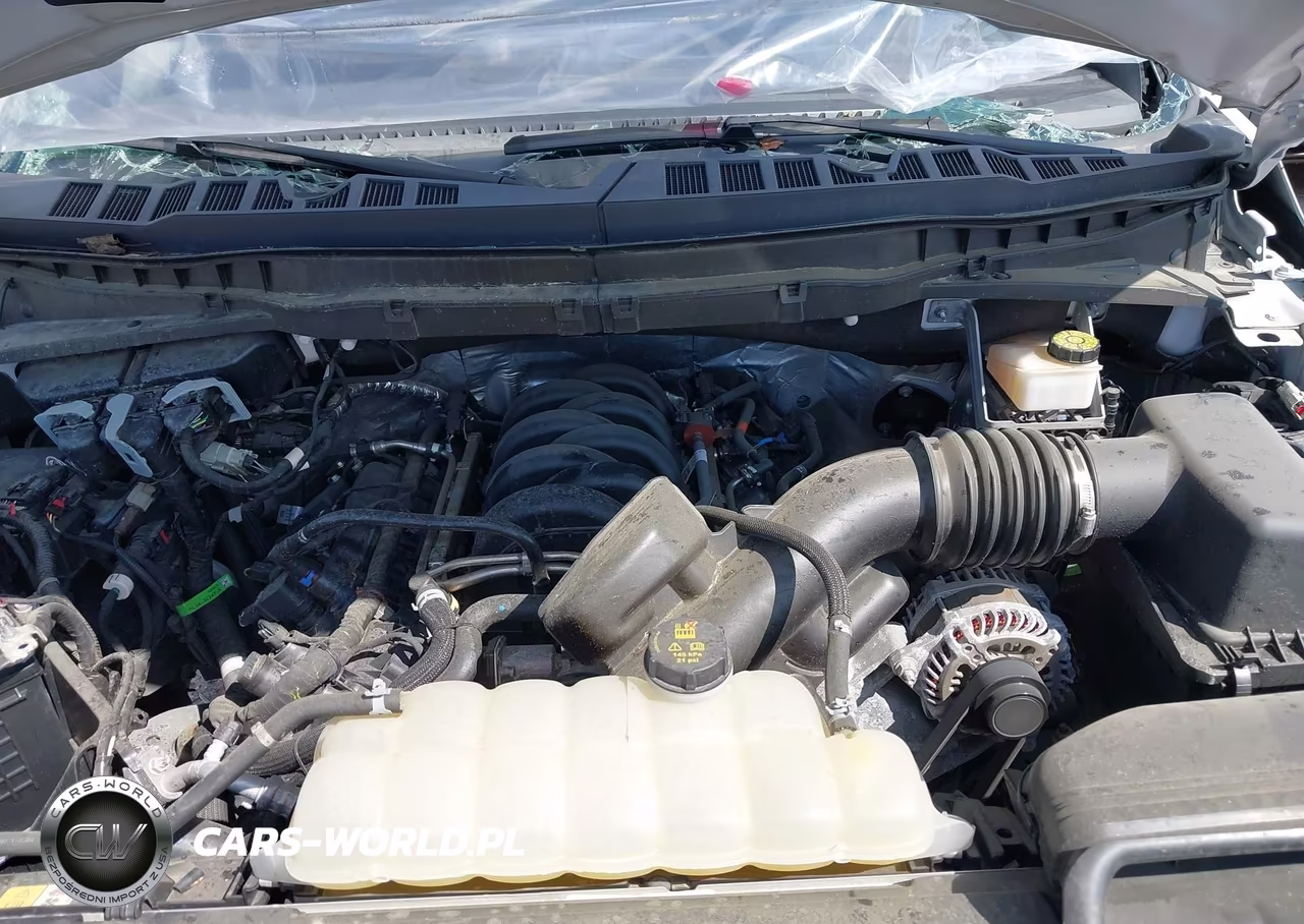 2024 Ford F-150 Tremor VIN:1FTFW4L59RFC06046 - 10