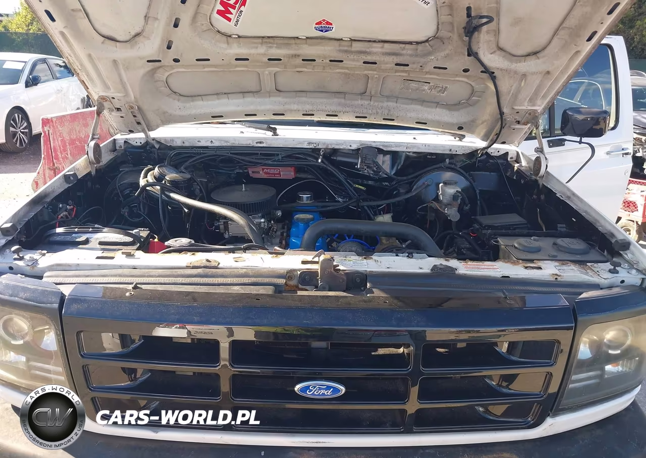 1994 Ford F150 VIN:1FTDF15YXRNB25575 - 10