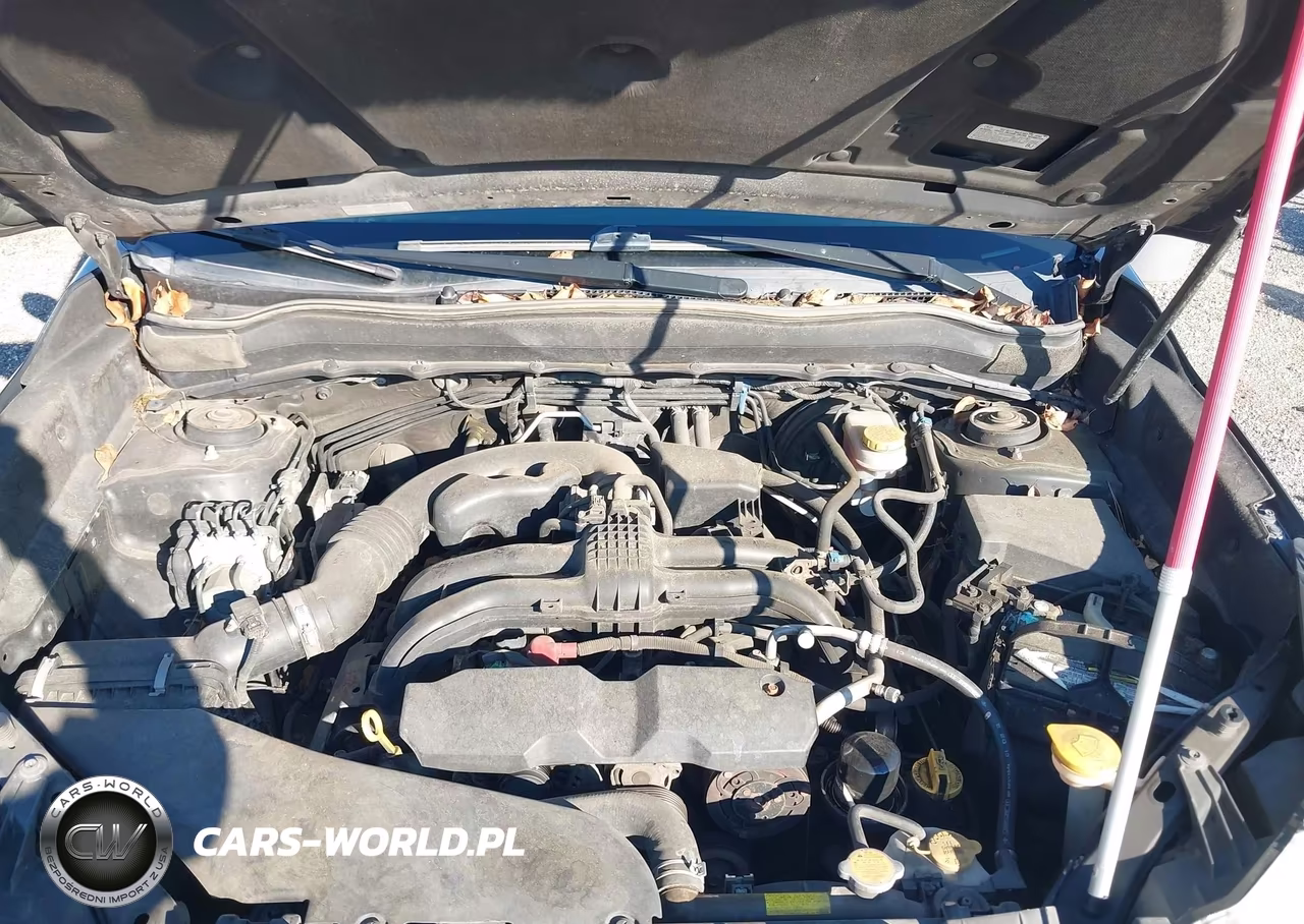 2014 Subaru Forester 2.5I Limited VIN:JF2SJAHC9EH507371 - 10