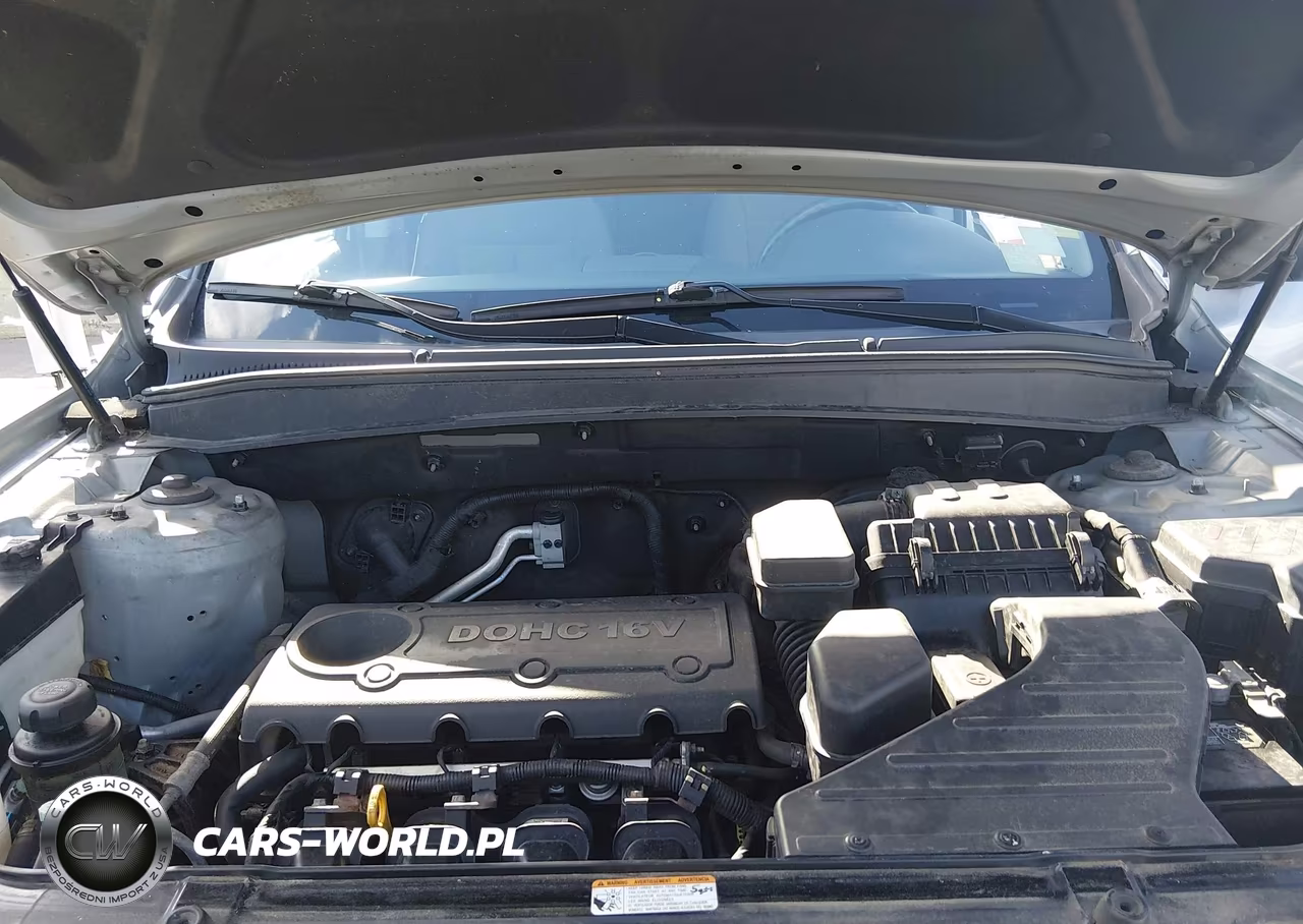 2010 Hyundai Santa Fe Gls VIN:5NMSGDAB3AH368962 - 10