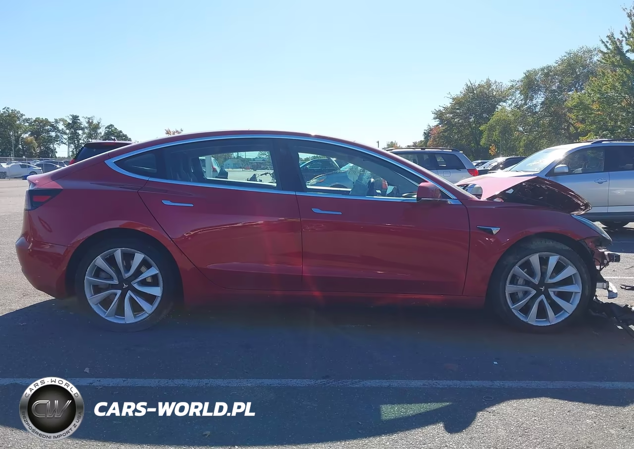 2020 Tesla Model 3 Long Range Dual Motor All-Wheel Drive VIN:5YJ3E1EB5LF620377 - 12