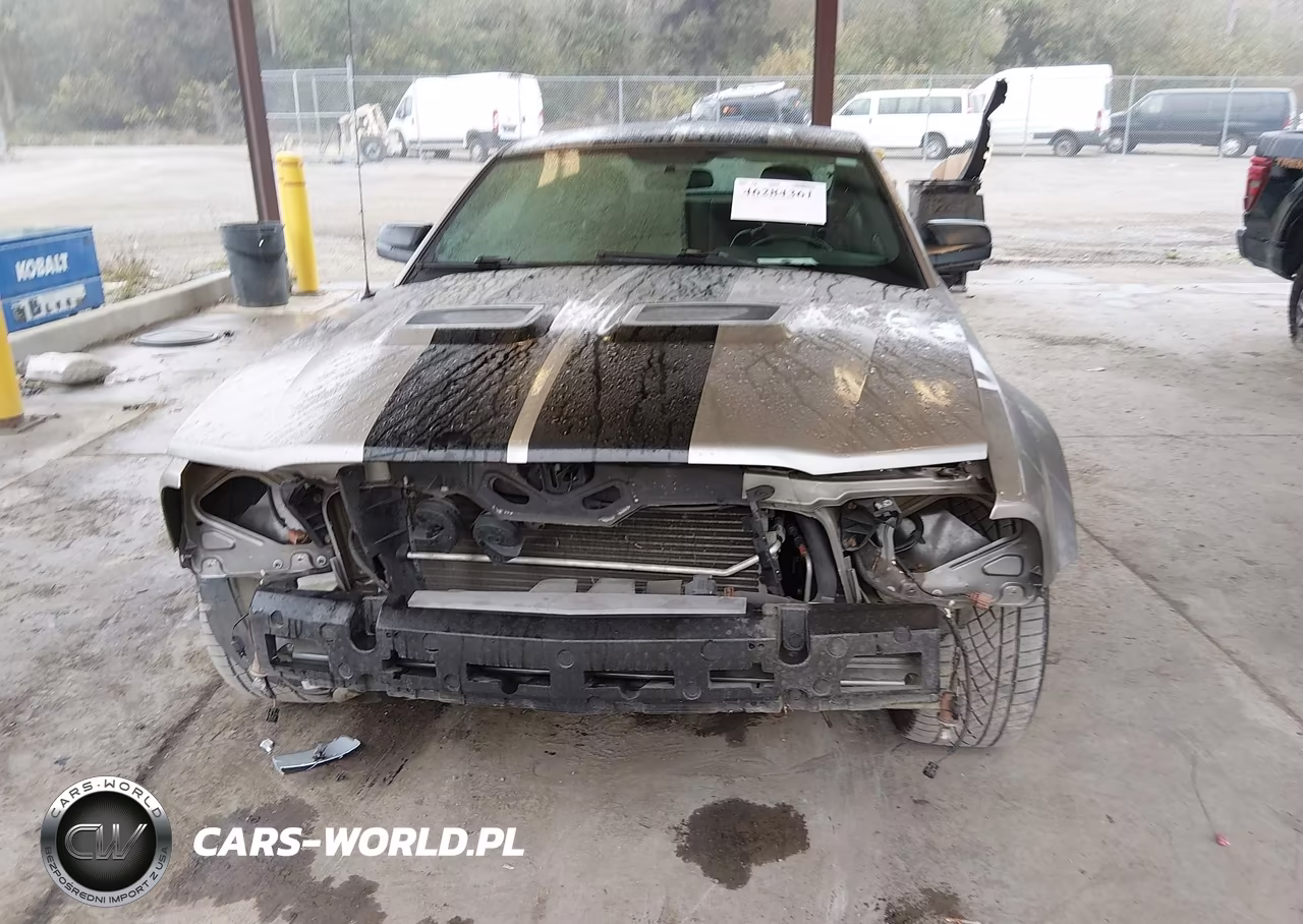 2008 Ford Shelby Gt500 VIN:1ZVHT88S685183852 - 13