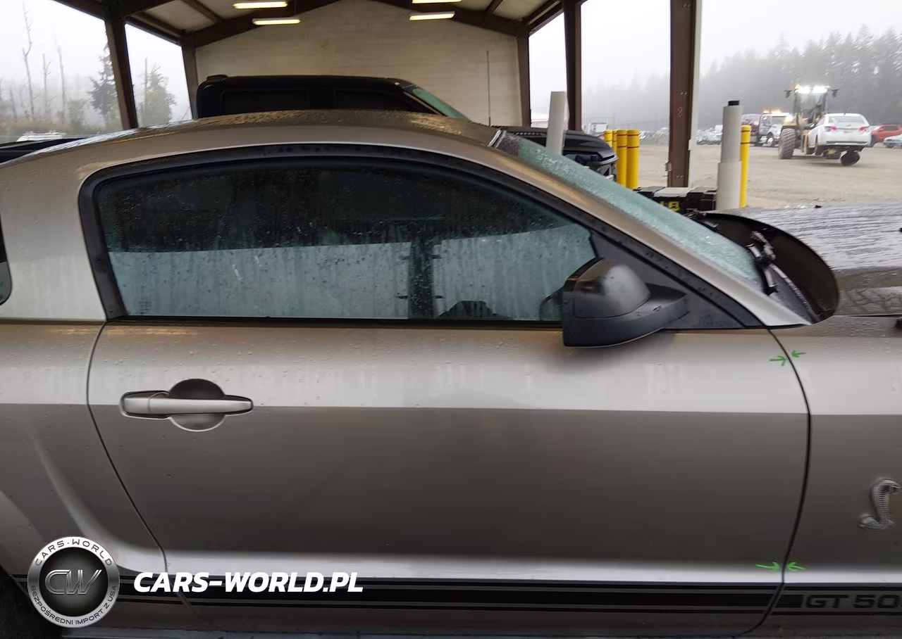 2008 Ford Shelby Gt500 VIN:1ZVHT88S685183852 - 14