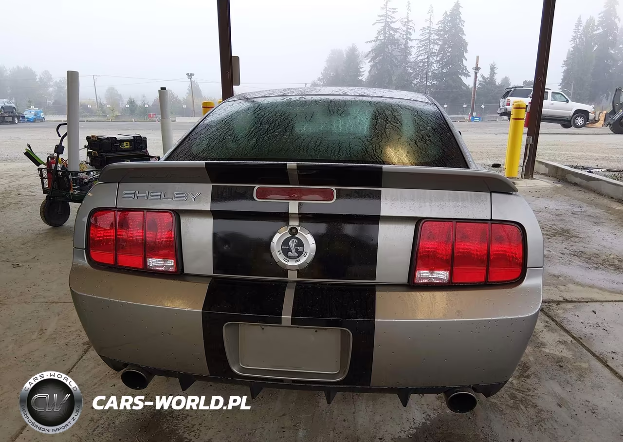 2008 Ford Shelby Gt500 VIN:1ZVHT88S685183852 - 17