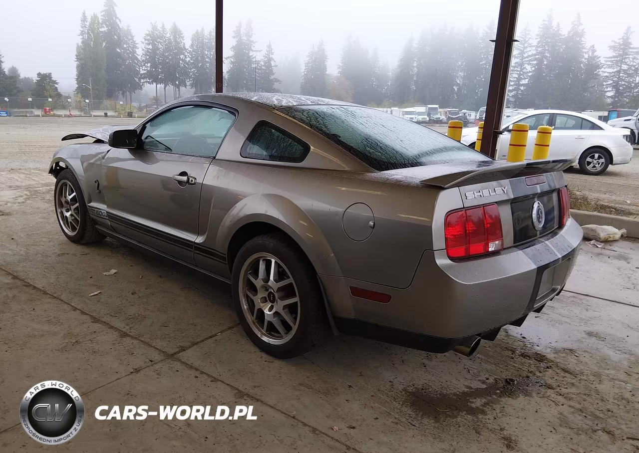 2008 Ford Shelby Gt500 VIN:1ZVHT88S685183852 - 3