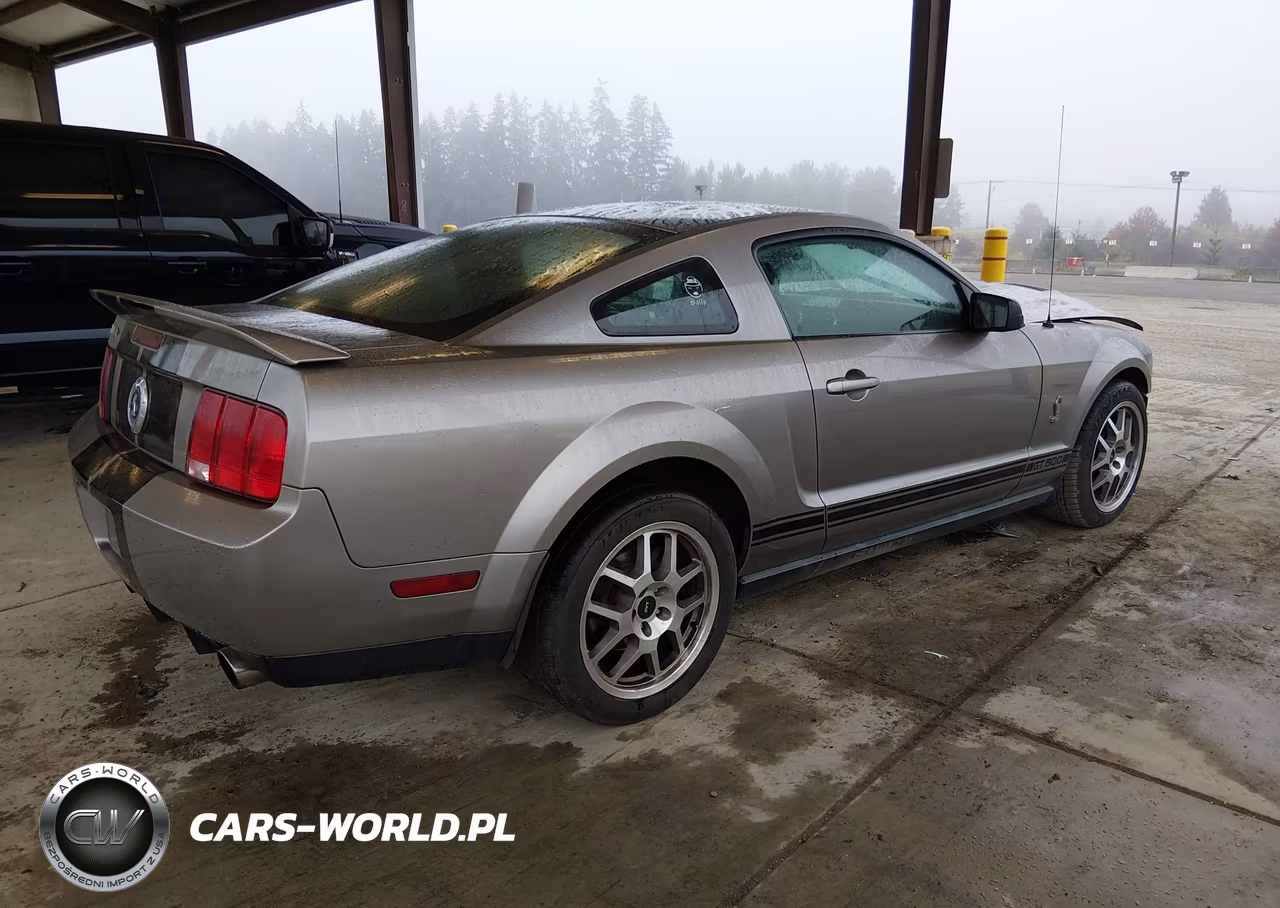 2008 Ford Shelby Gt500 VIN:1ZVHT88S685183852 - 4