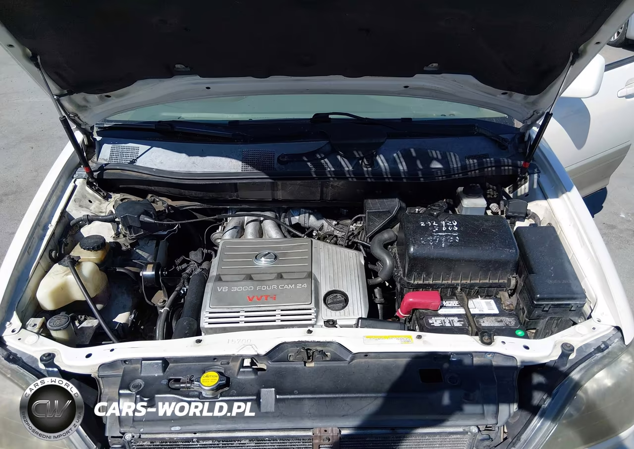 2000 Lexus Rx 300 VIN:JT6HF10U6Y0103811 - 10