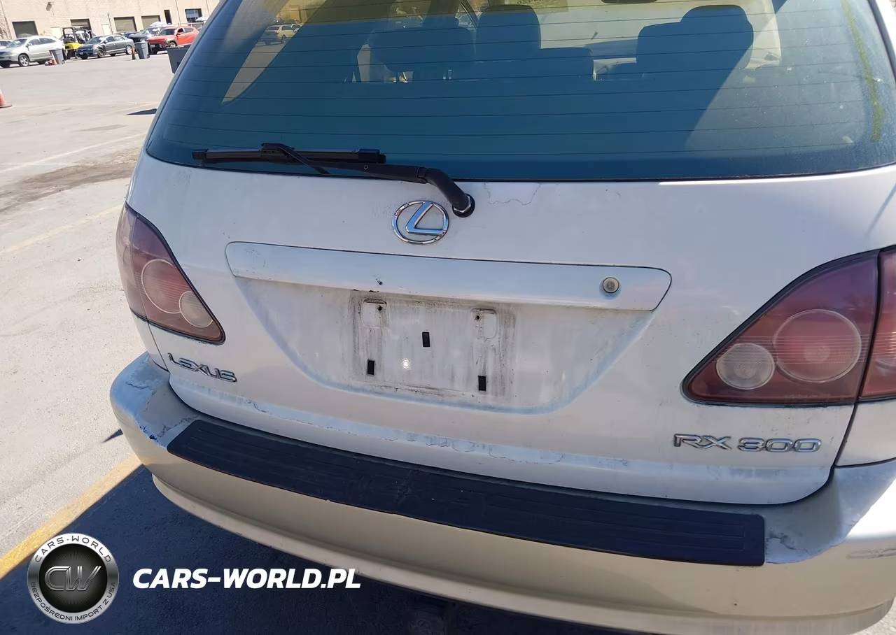 2000 Lexus Rx 300 VIN:JT6HF10U6Y0103811 - 6