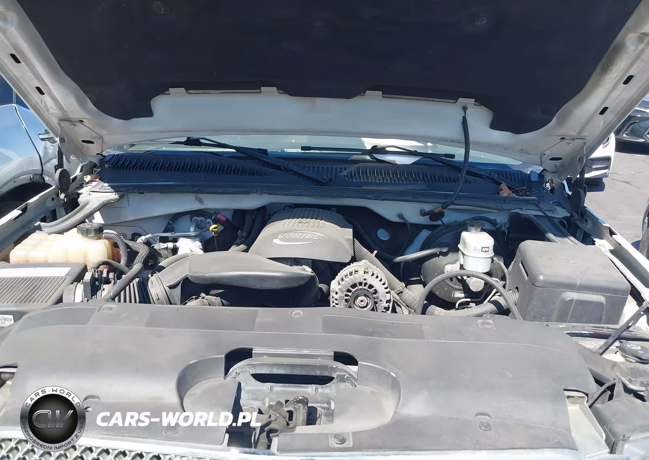 2006 Chevrolet Silverado 1500 Lt1 VIN:2GCEC13T961135841 - 10
