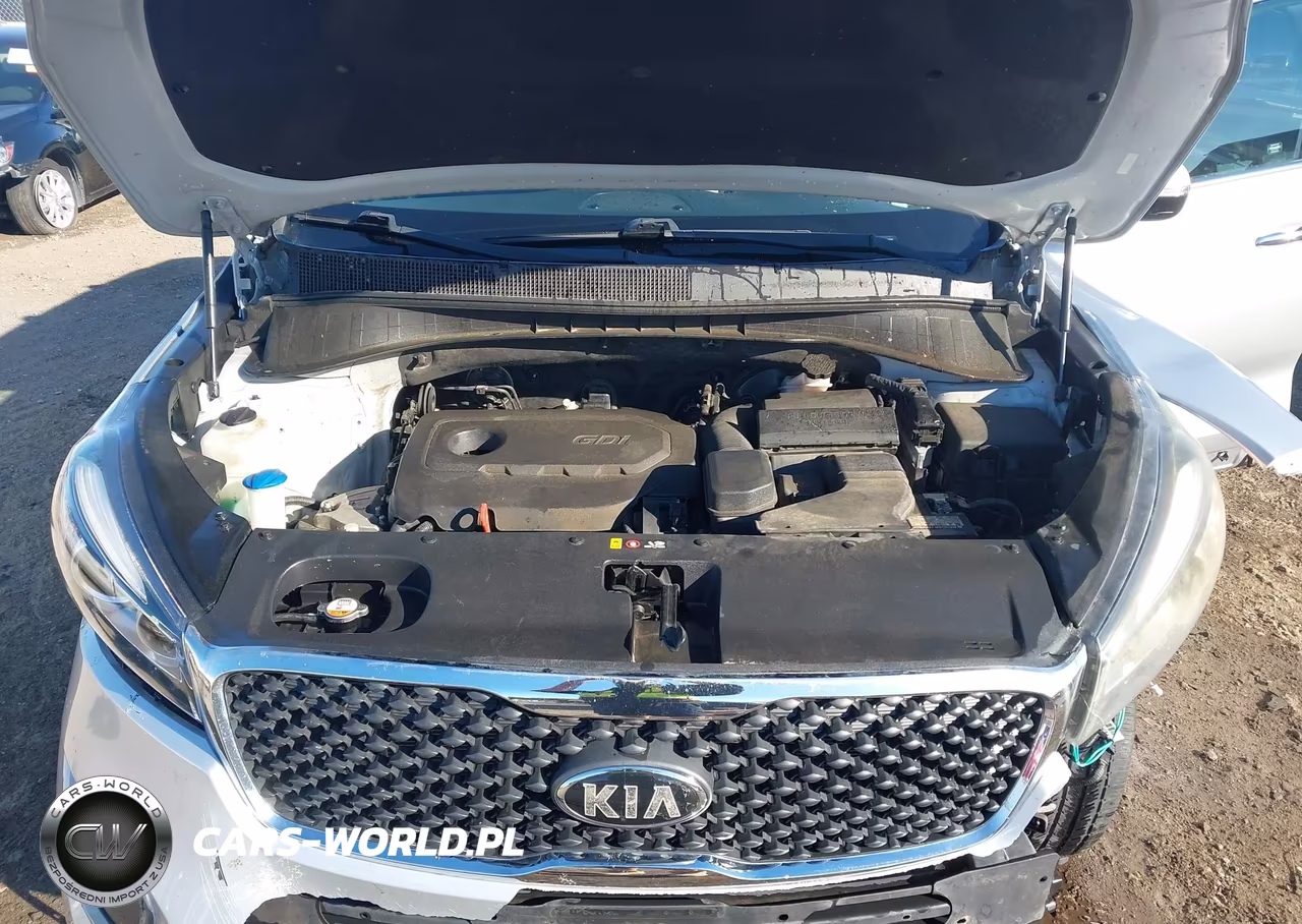 2018 Kia Sorento 2.4L Lx VIN:5XYPG4A36JG343918 - 10