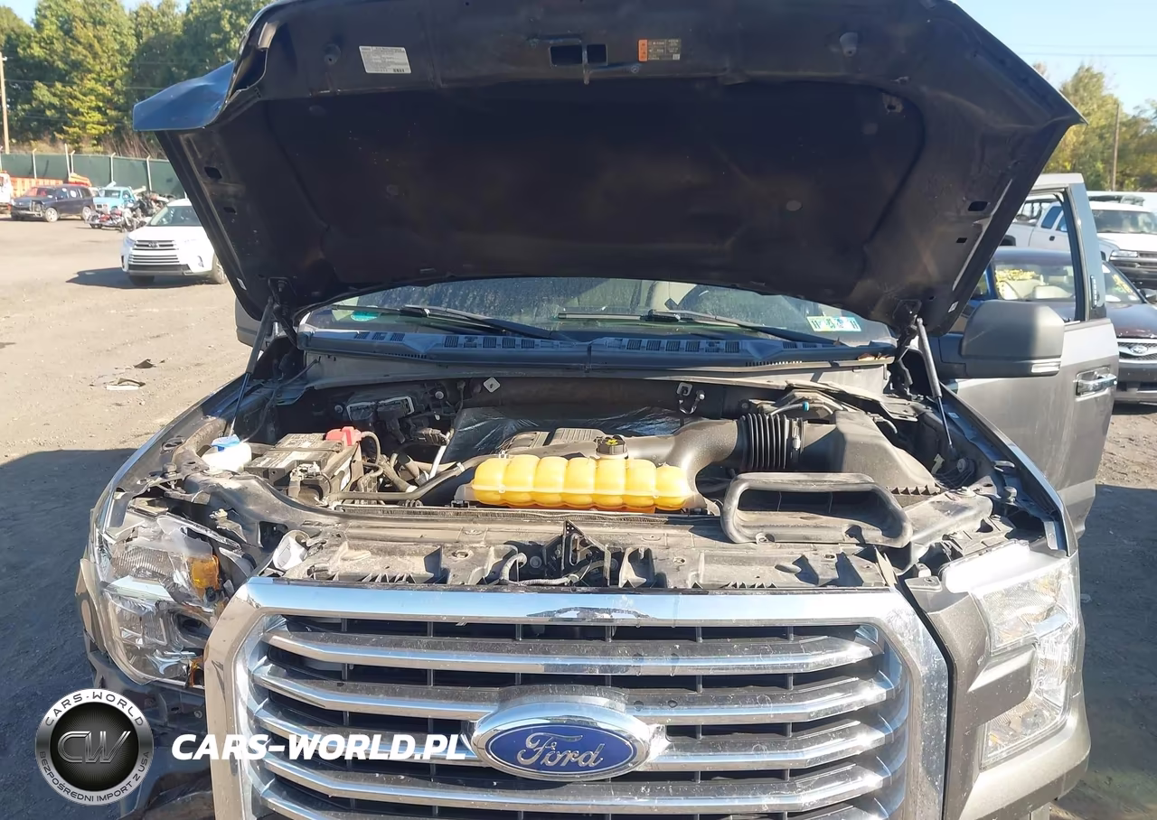 2016 Ford F-150 Xlt VIN:1FTFW1EG0GFC25076 - 10