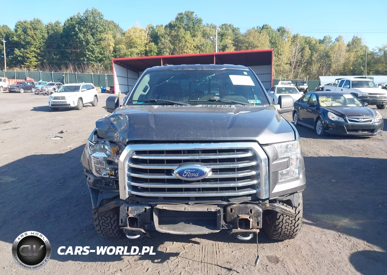 2016 Ford F-150 Xlt VIN:1FTFW1EG0GFC25076 - 12