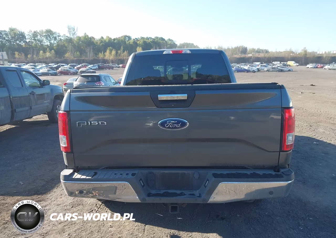 2016 Ford F-150 Xlt VIN:1FTFW1EG0GFC25076 - 16