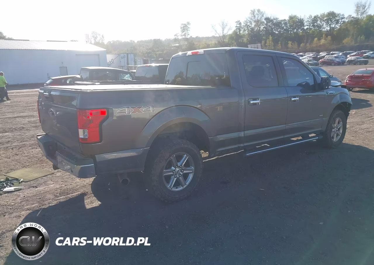 2016 Ford F-150 Xlt VIN:1FTFW1EG0GFC25076 - 4