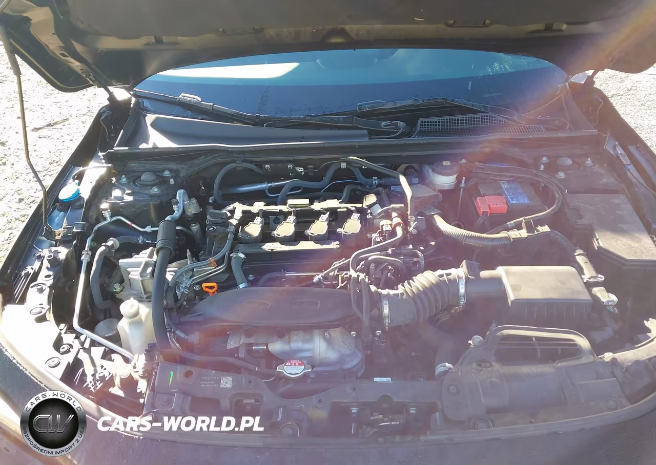 2024 Honda Civic Sport Touring VIN:19XFL1H81RE021218 - 10