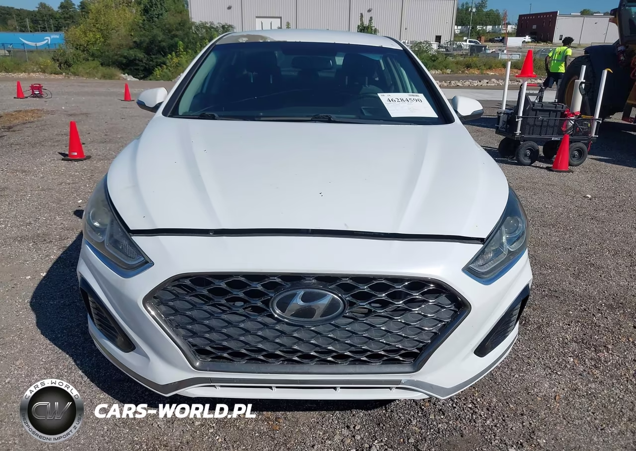 2019 Hyundai Sonata Sel VIN:5NPE34AF6KH751293 - 12