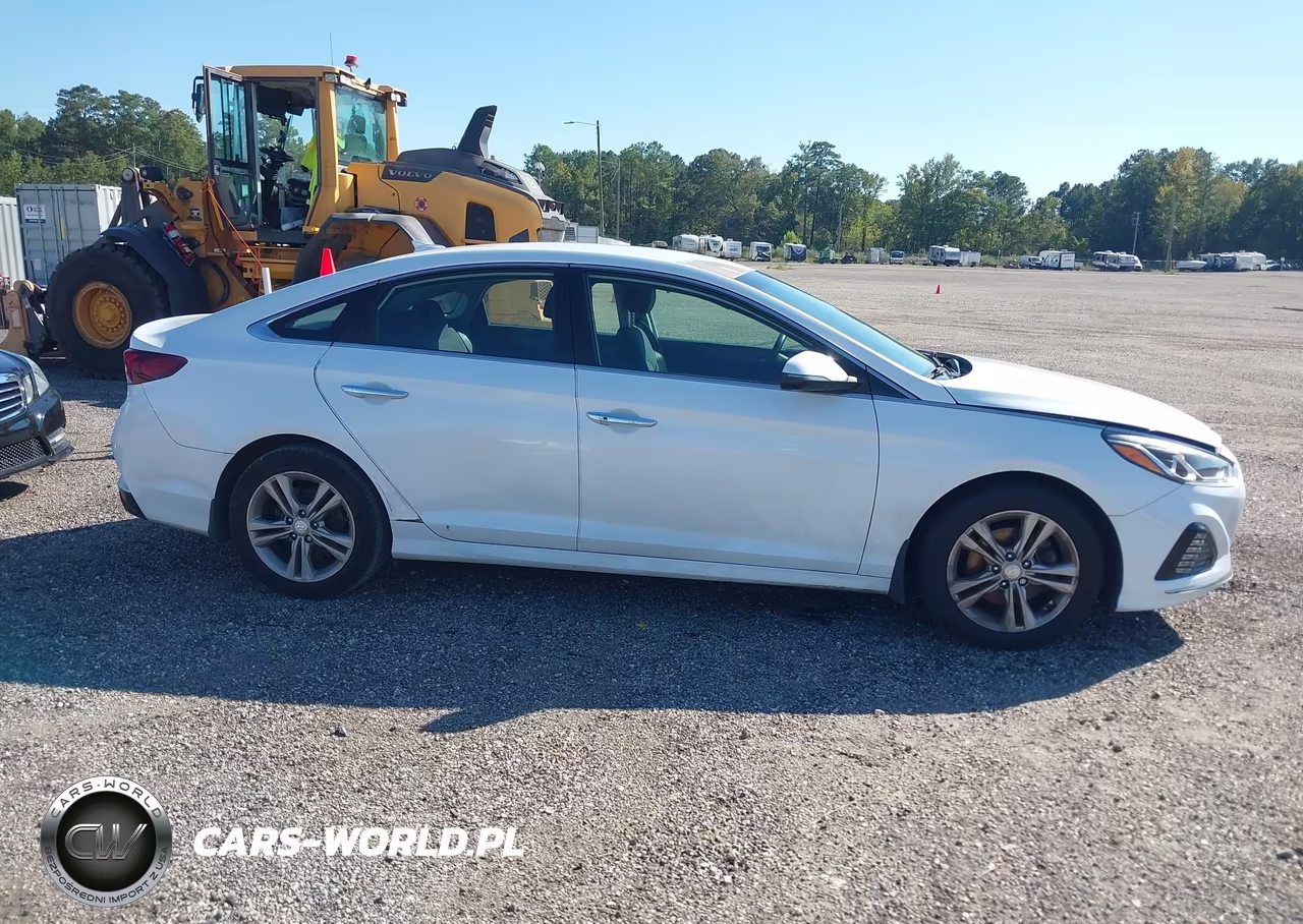 2019 Hyundai Sonata Sel VIN:5NPE34AF6KH751293 - 13