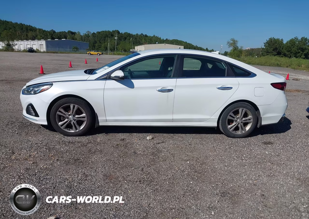 2019 Hyundai Sonata Sel VIN:5NPE34AF6KH751293 - 14