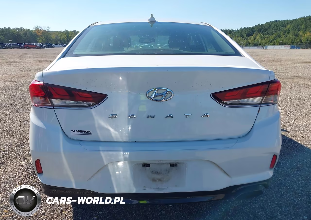 2019 Hyundai Sonata Sel VIN:5NPE34AF6KH751293 - 16