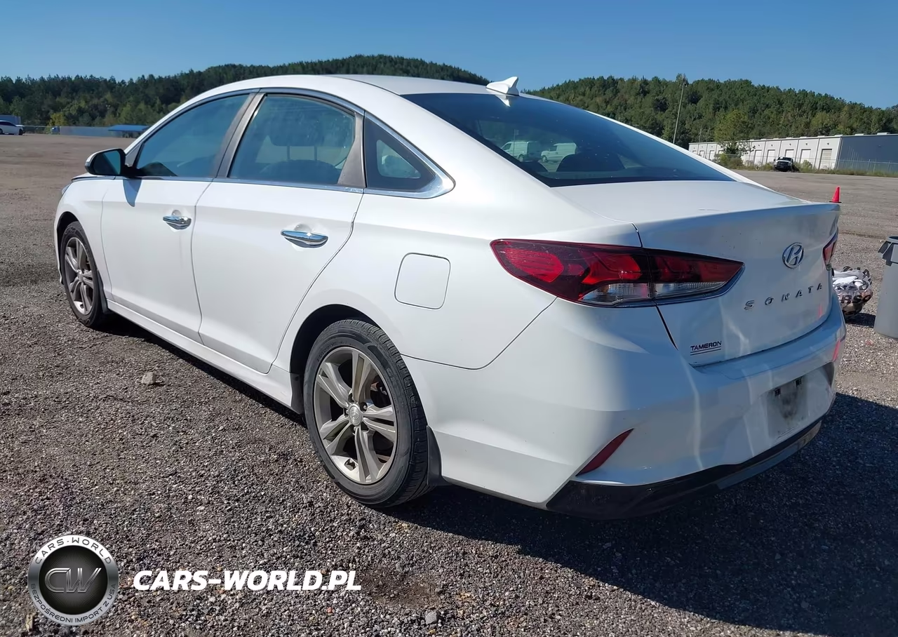2019 Hyundai Sonata Sel VIN:5NPE34AF6KH751293 - 3