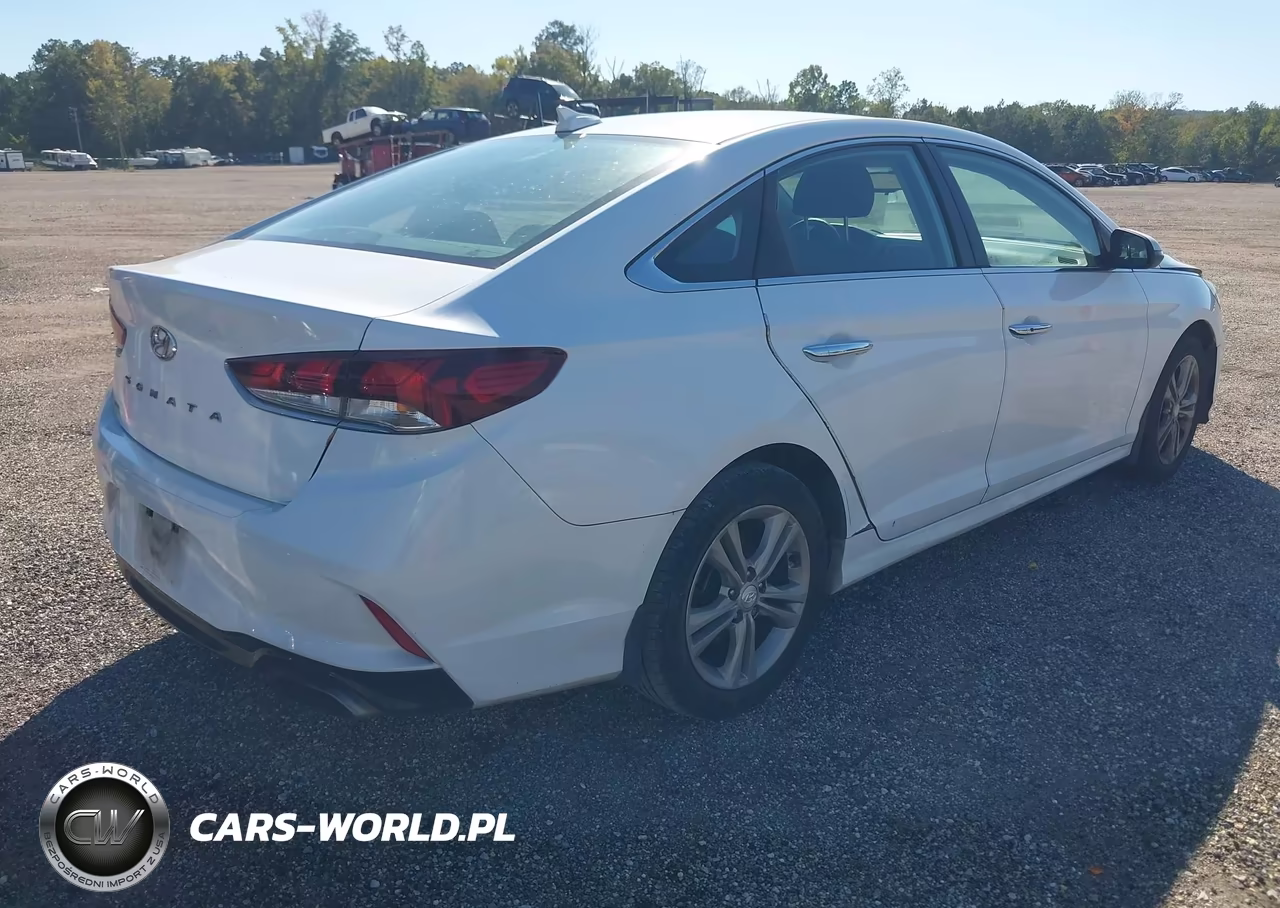 2019 Hyundai Sonata Sel VIN:5NPE34AF6KH751293 - 4
