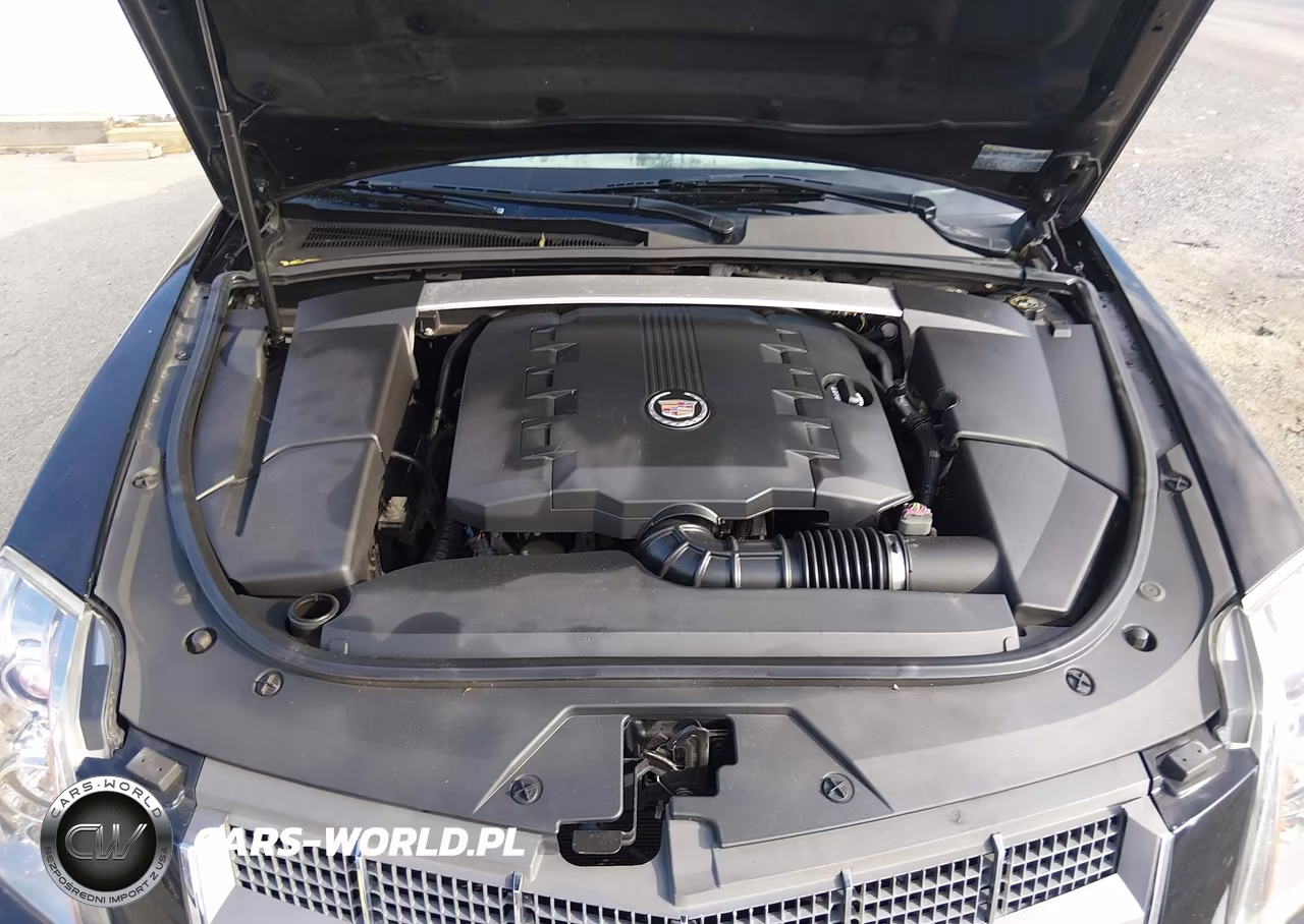 2010 Cadillac Cts Luxury VIN:1G6DE5EG3A0107103 - 10