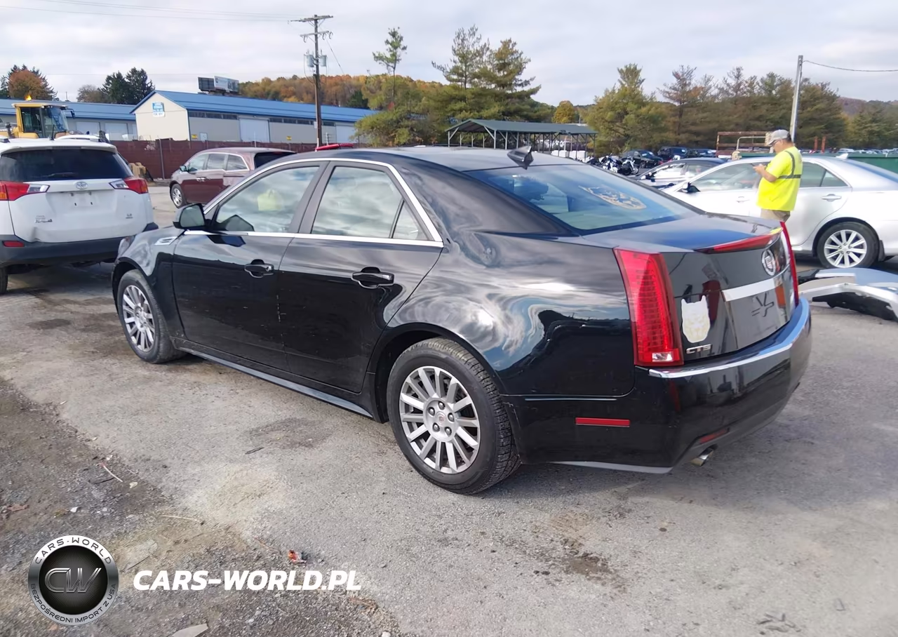 2010 Cadillac Cts Luxury VIN:1G6DE5EG3A0107103 - 3