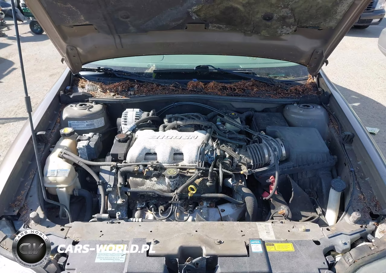 2001 Chevrolet Malibu VIN:1G1ND52J31M647637 - 10