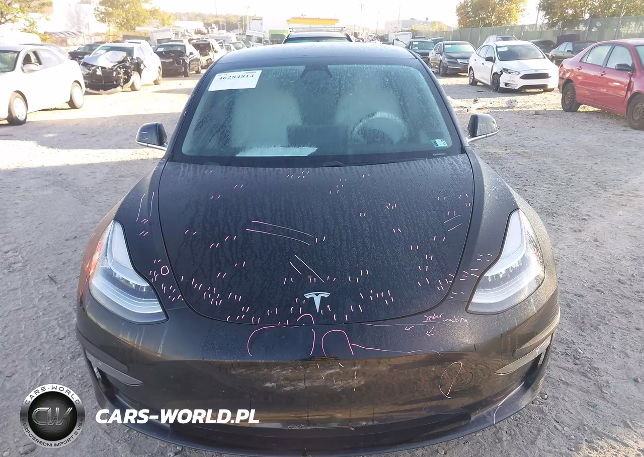 2019 Tesla Model 3 Long Range-Performance VIN:5YJ3E1EB9KF437787 - 12