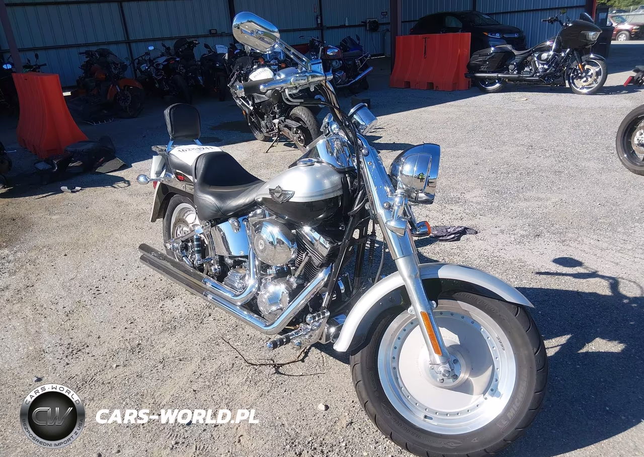2003 Harley-Davidson Flstf Anniversary
