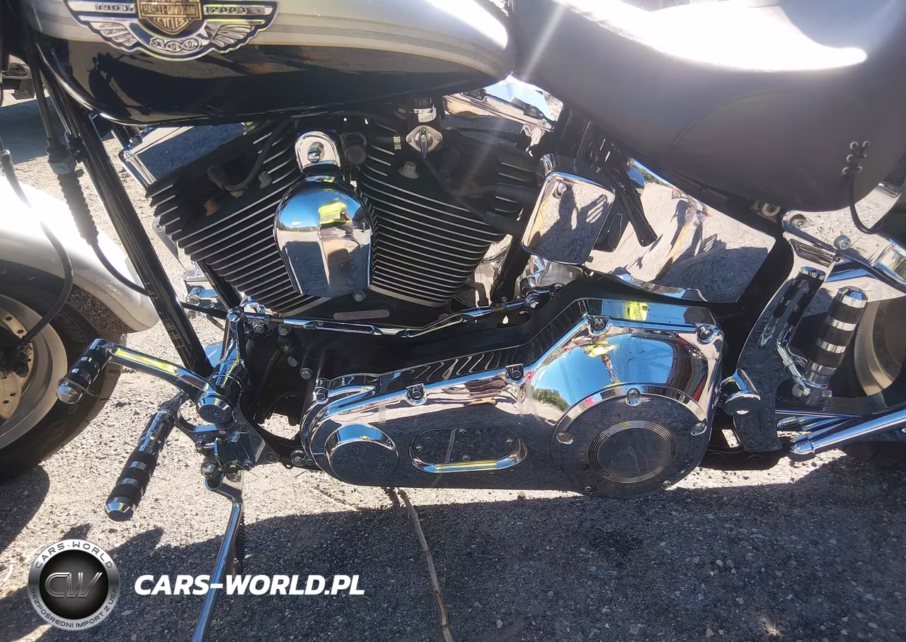 2003 Harley-Davidson Flstf Anniversary VIN:1HD1BMY413Y087537 - 9
