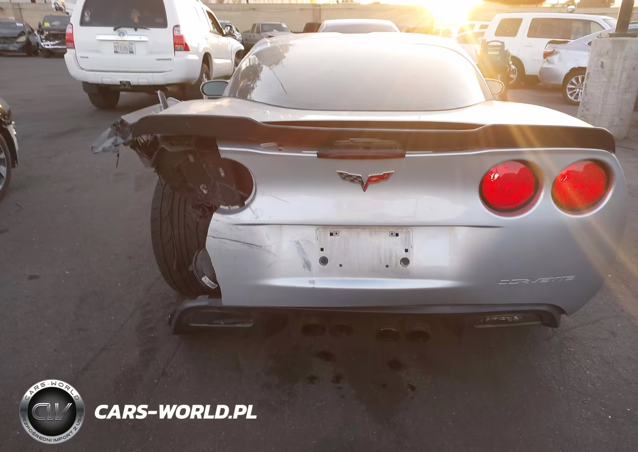 2009 Chevrolet Corvette VIN:1G1YY26WX95101610 - 17