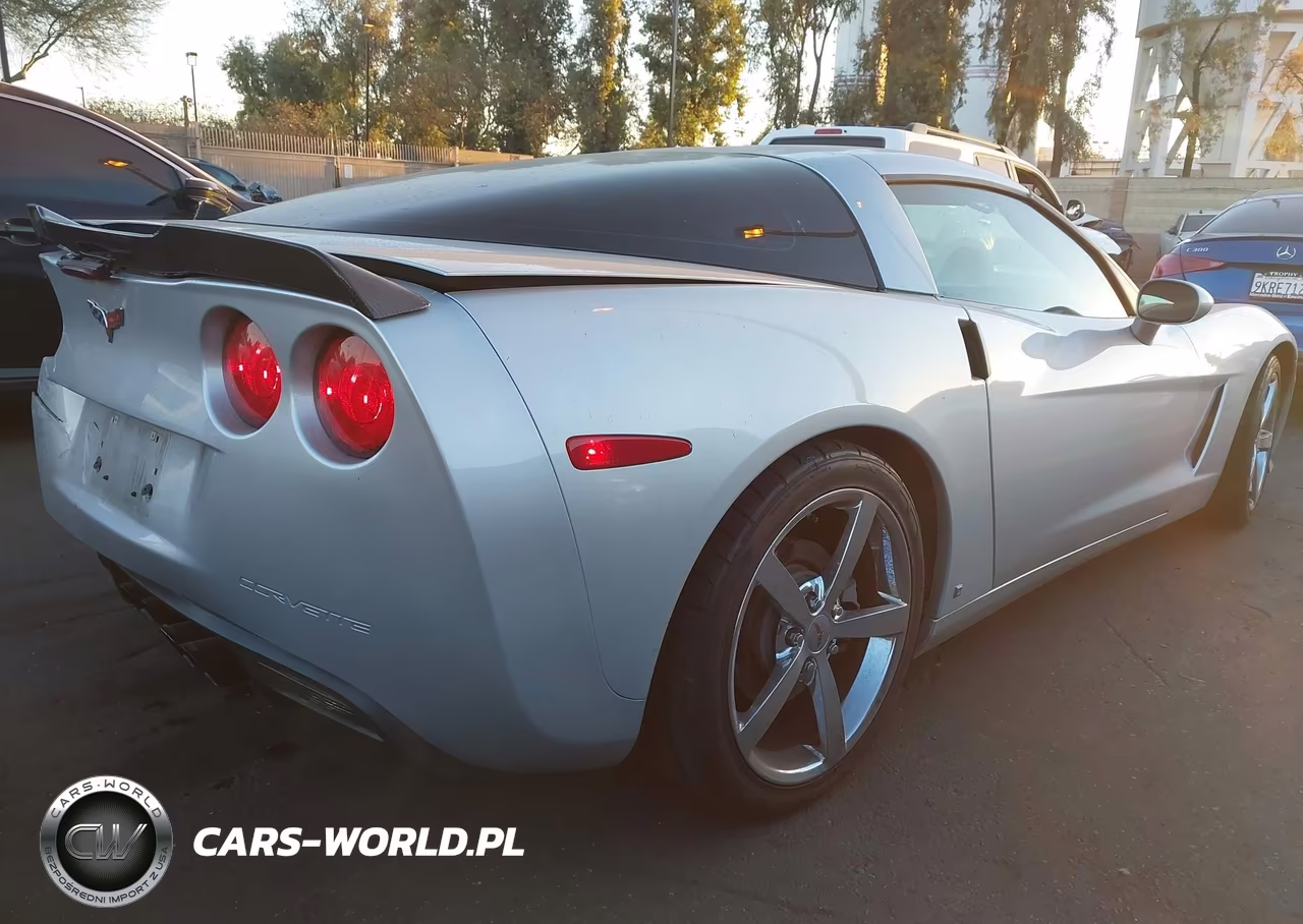 2009 Chevrolet Corvette VIN:1G1YY26WX95101610 - 4