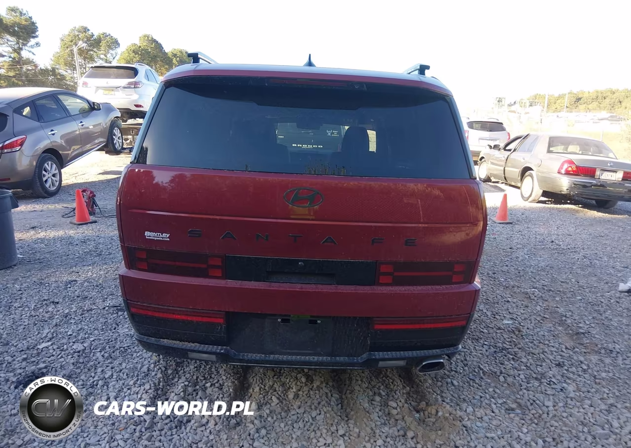 2024 Hyundai Santa Fe Calligraphy VIN:5NMP54GL0RH045427 - 17