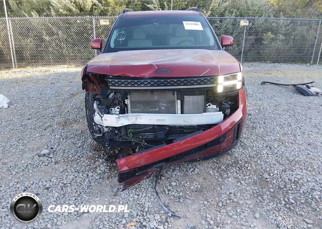 2024 Hyundai Santa Fe Calligraphy VIN:5NMP54GL0RH045427 - 6