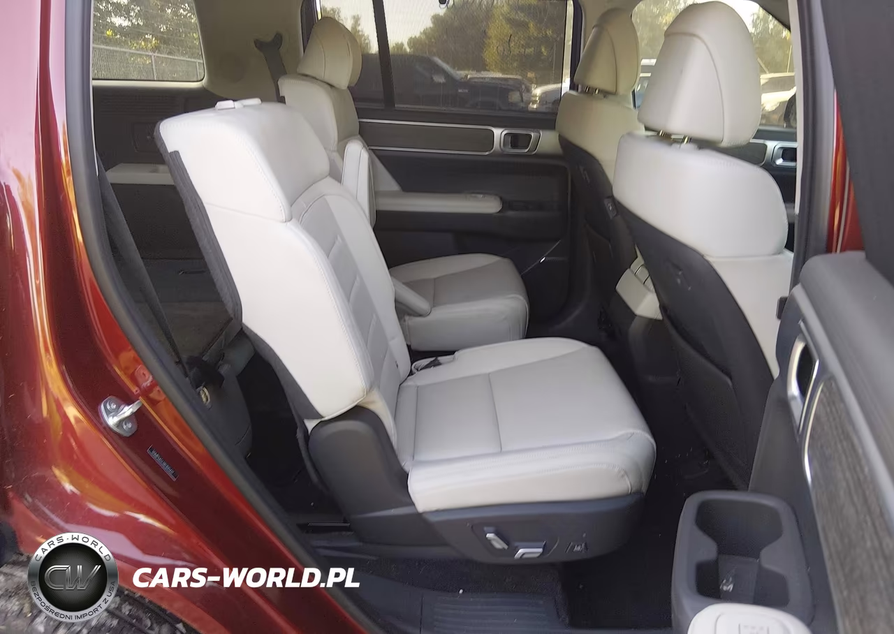2024 Hyundai Santa Fe Calligraphy VIN:5NMP54GL0RH045427 - 8