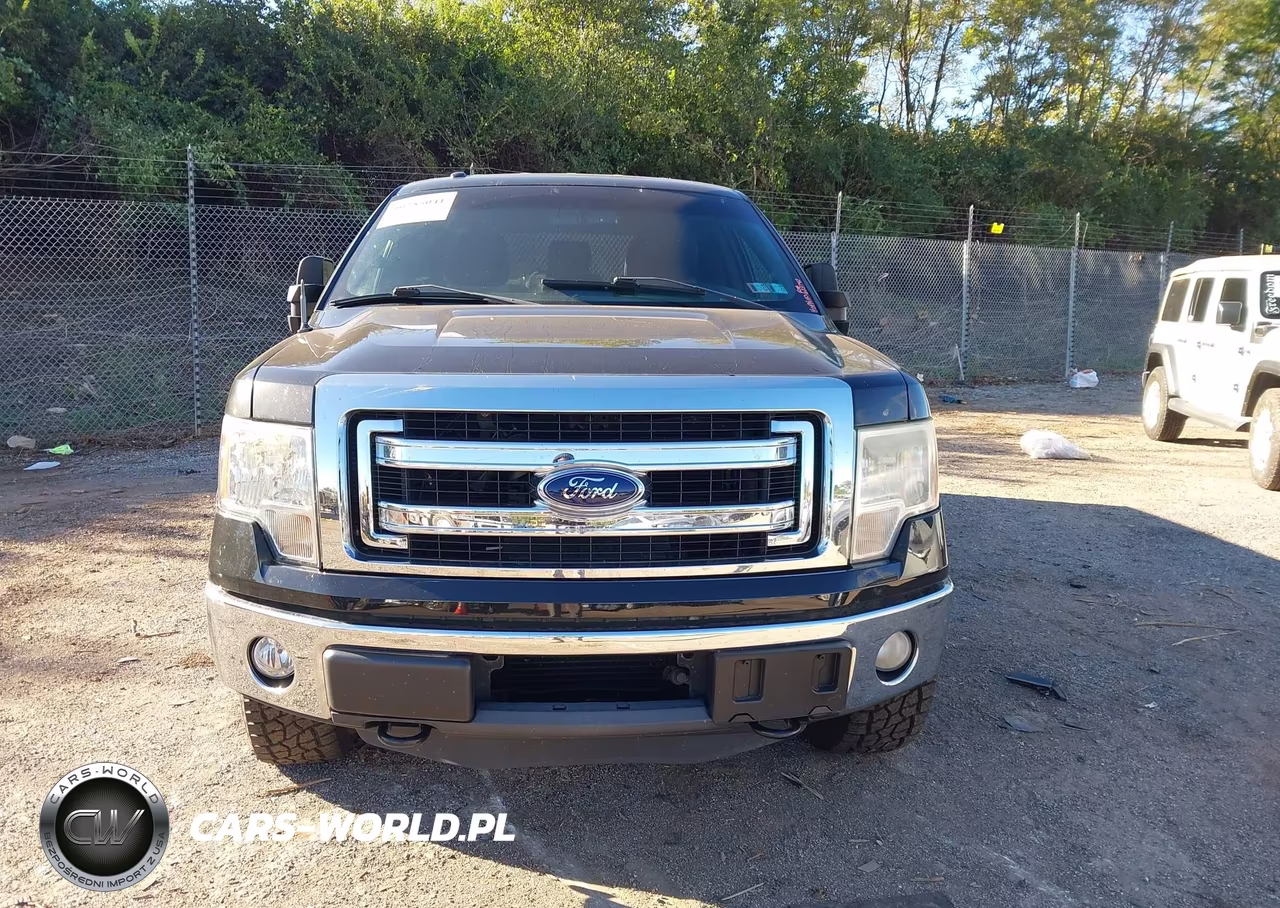 2013 Ford F-150 Xlt VIN:1FTFW1ET8DFA20839 - 13