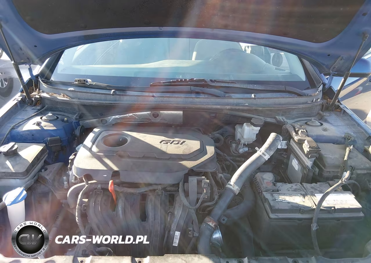 2015 Hyundai Sonata Se VIN:5NPE24AF7FH129925 - 10